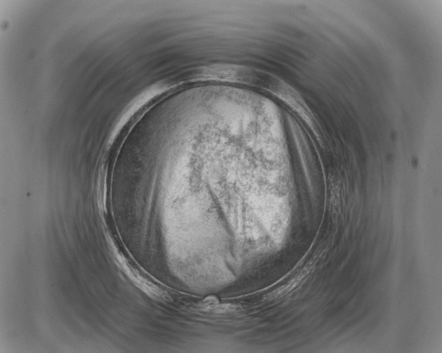 X0000085211131200703231500