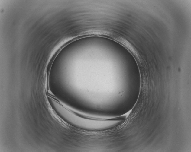 X0000085211132200703231500