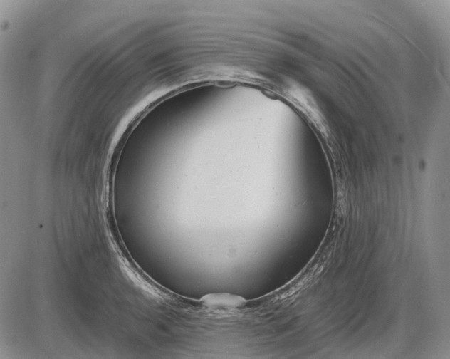 X0000085211136200703231500