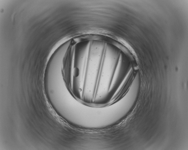 X0000085211138200703231500