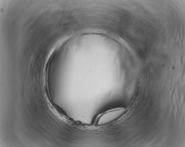 X0000085211140200703231500