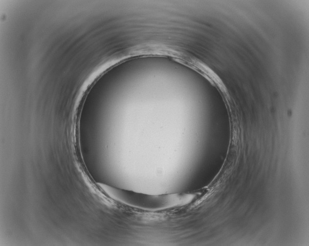 X0000085211144200703231500