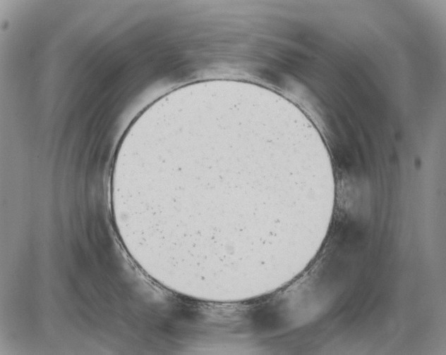 X0000085211150200703231500