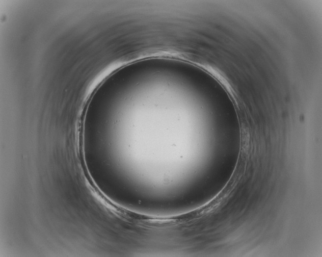 X0000085211151200703231500