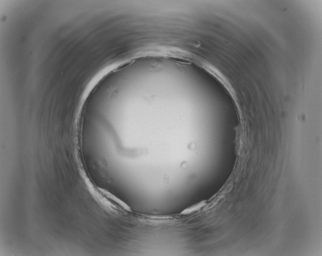 X0000085211152200703231500