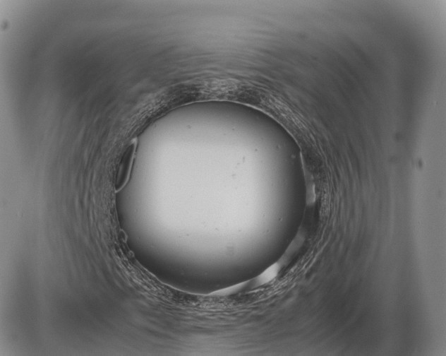 X0000085211153200703231500