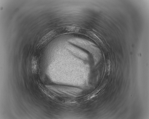 X0000085211154200703231459