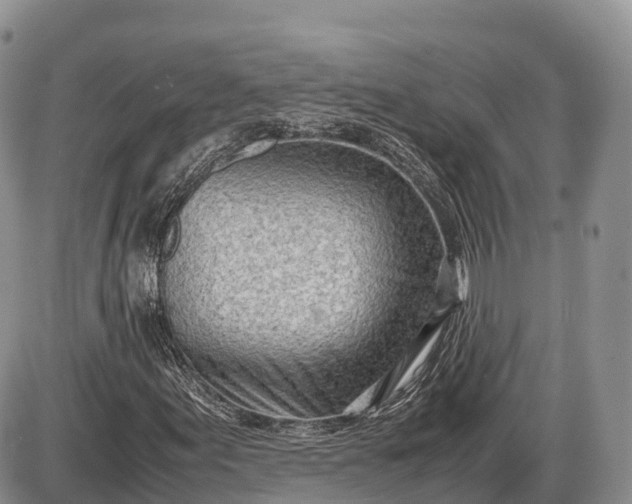 X0000085211155200703231459