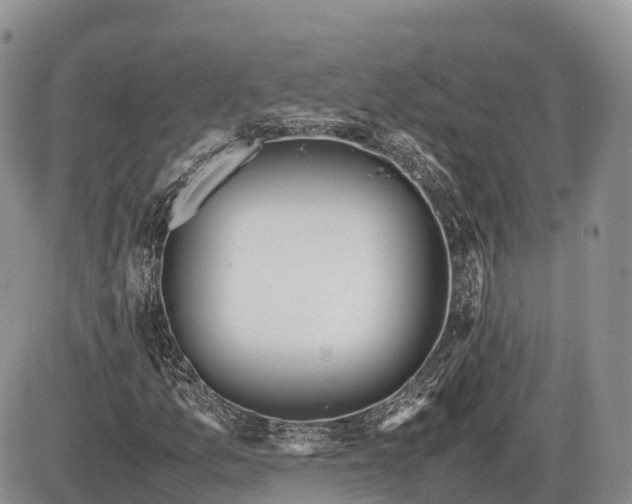 X0000085211157200703231459