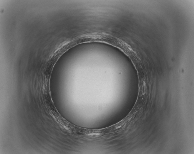 X0000085211158200703231459