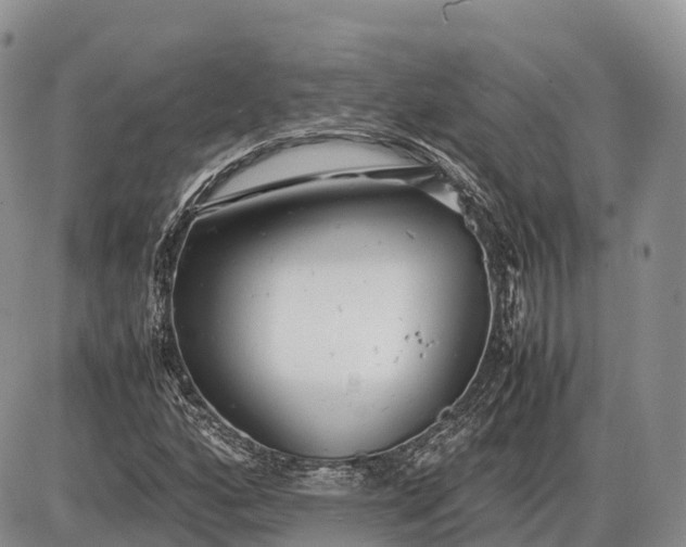 X0000085211160200703231459