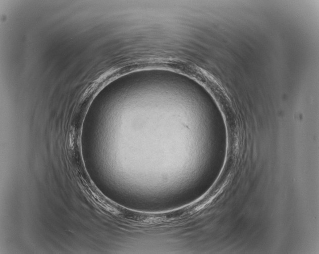 X0000085211161200703231459