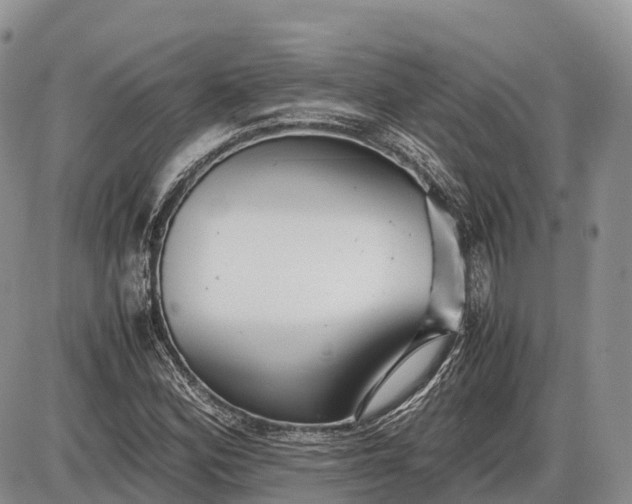 X0000085211164200703231459