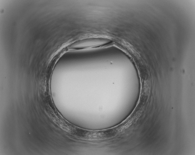 X0000085211165200703231459