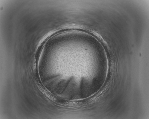 X0000085211167200703231459