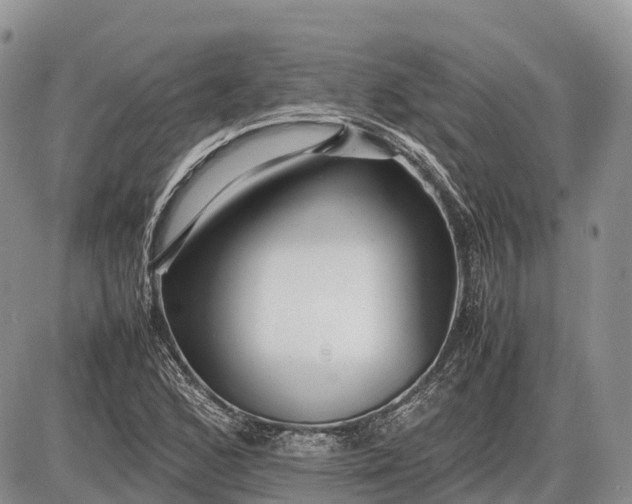 X0000085211168200703231459