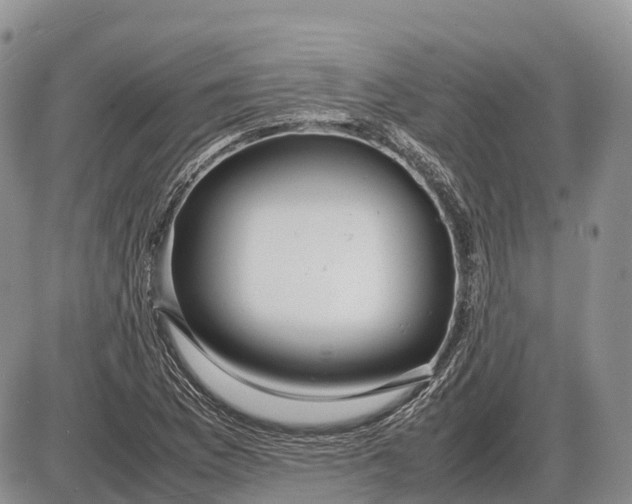 X0000085211169200703231459