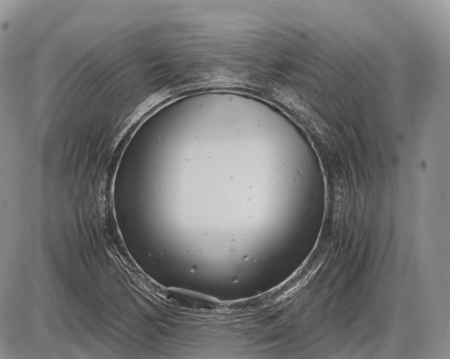 X0000085211170200703231459