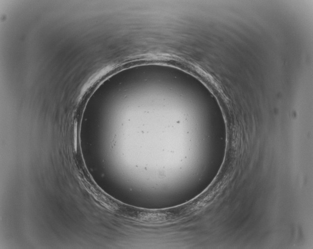 X0000085211171200703231459