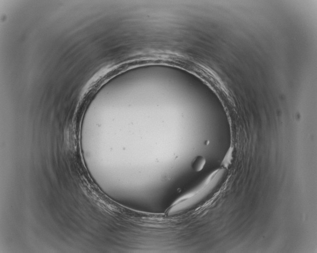 X0000085211172200703231459