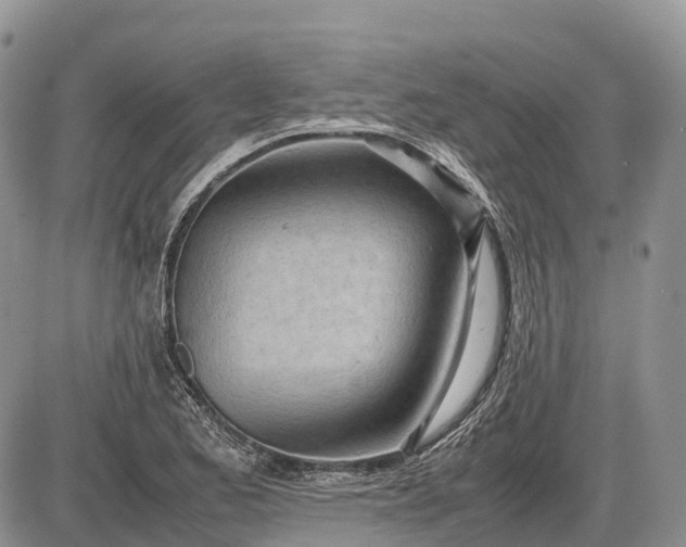 X0000085211173200703231459