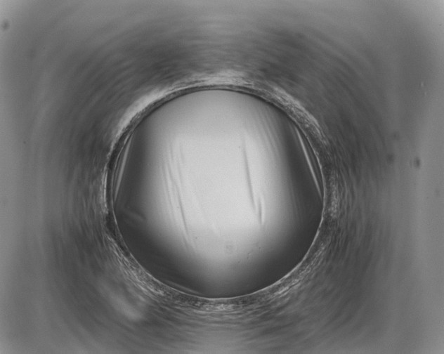 X0000085211174200703231459