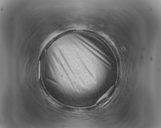 X0000085211175200703231459