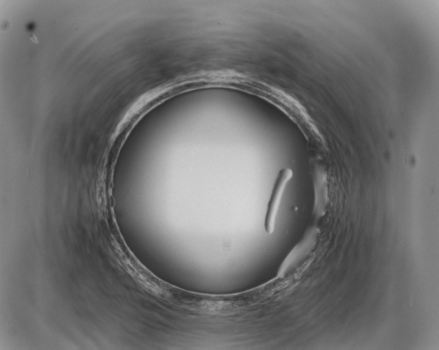 X0000085211176200703231459