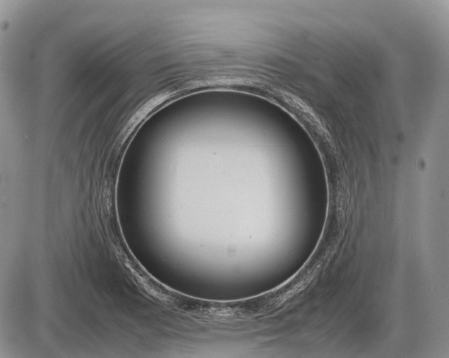 X0000085211177200703231459