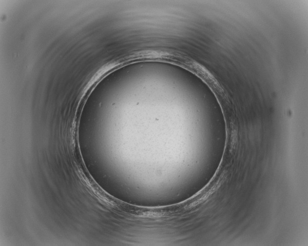 X0000085211178200703231459