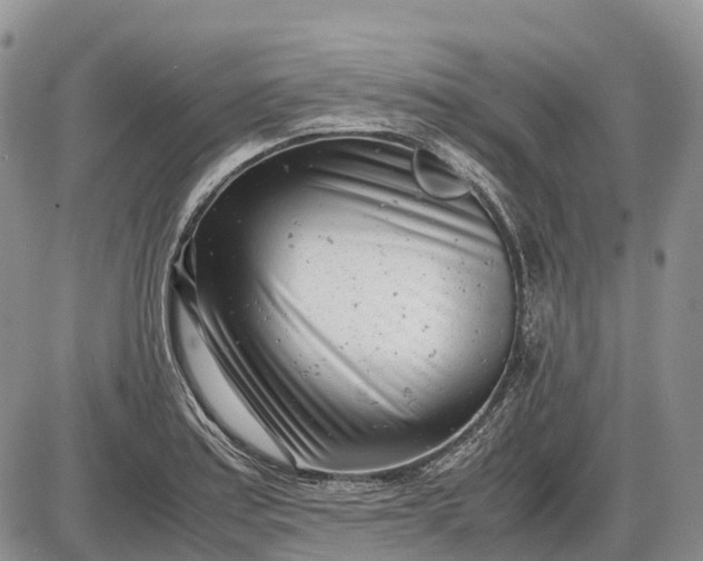 X0000085211179200703231459