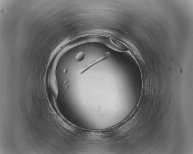 X0000085211180200703231459