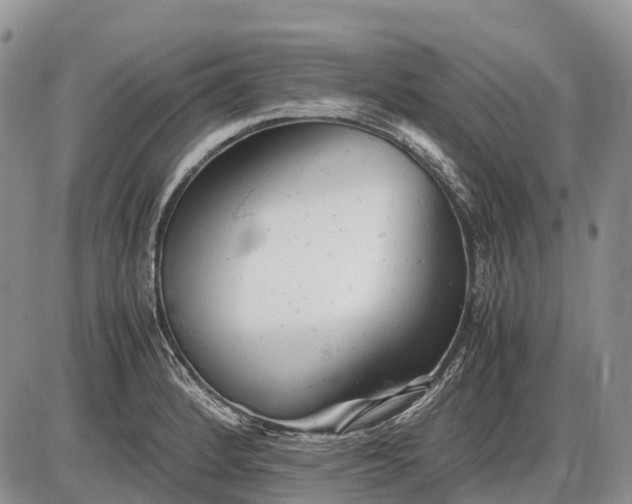 X0000085211184200703231459