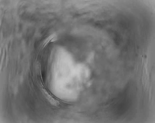 X0000085211185200703231459