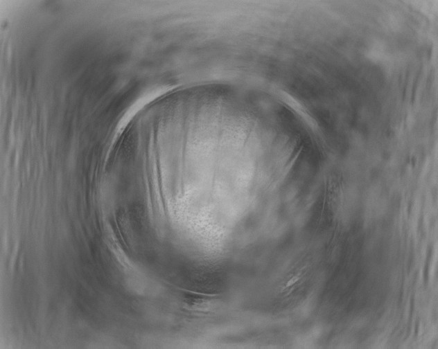 X0000085211187200703231459