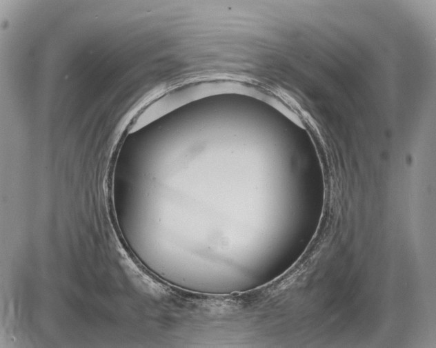 X0000085211189200703231459