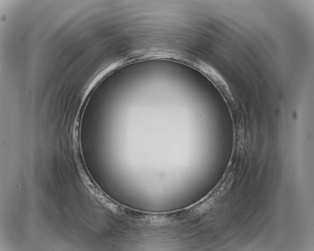 X0000085211190200703231459