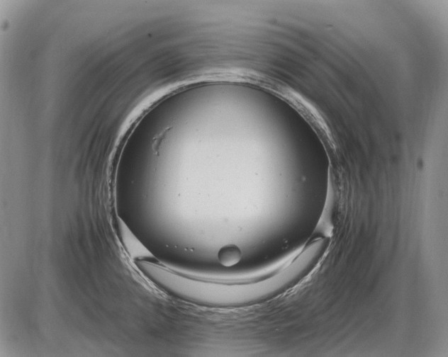 X0000085211192200703231459