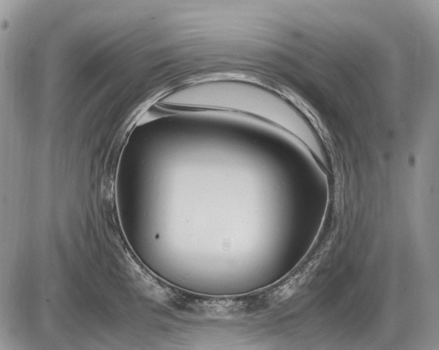 X0000085211193200703231459