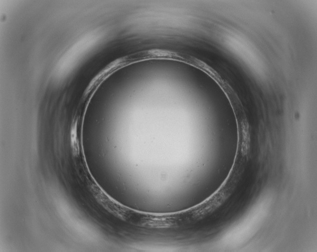 X0000085211198200703231459