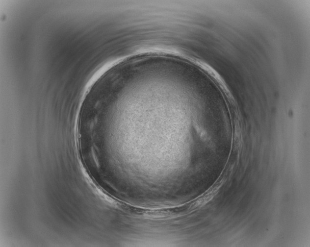 X0000085211199200703231459