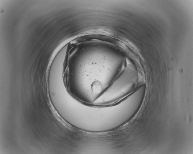 X0000085211200200703231459