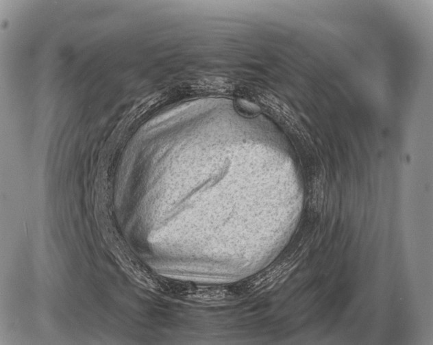 X0000085211201200703231458