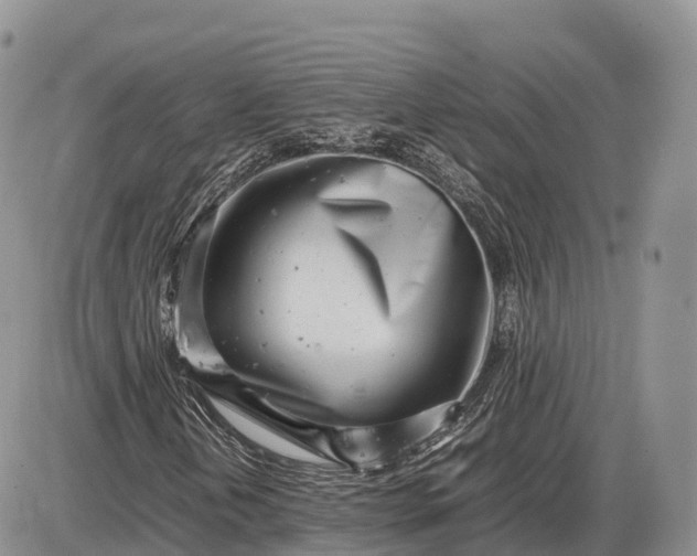 X0000085211202200703231458