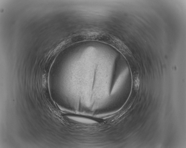 X0000085211204200703231458