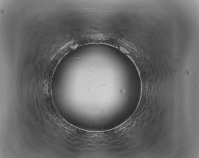 X0000085211205200703231458