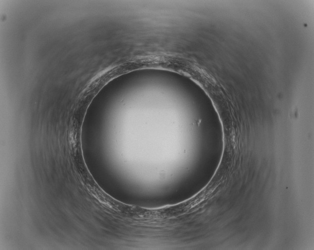 X0000085211206200703231458