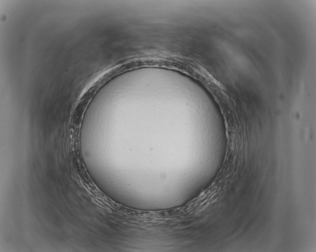 X0000085211208200703231458