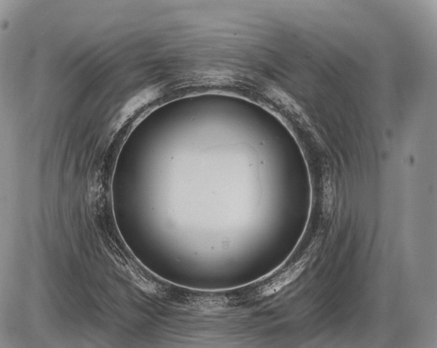 X0000085211210200703231458