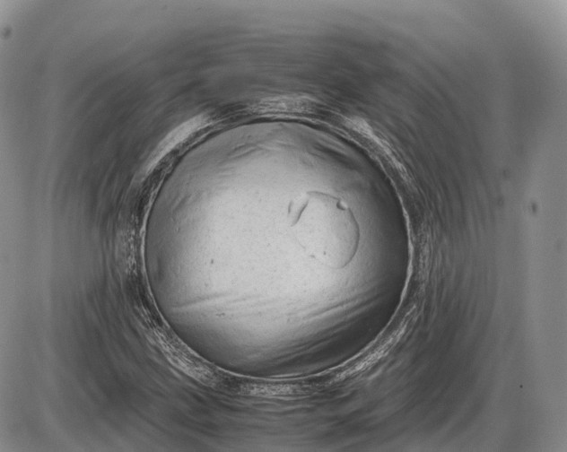 X0000085211211200703231458